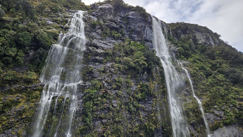 Crooked Arm, Doubtful Sound | Issue Summer 2023