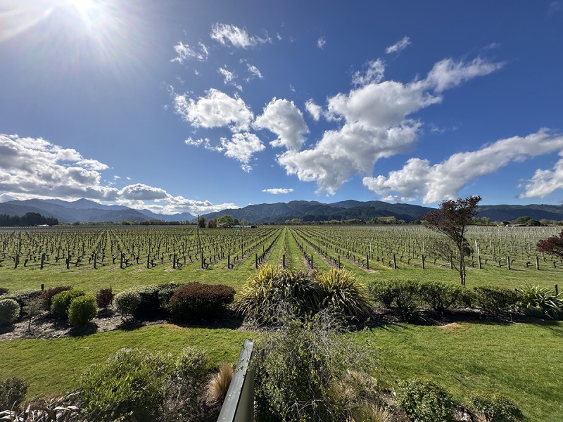 Vintners Retreat, Blenheim | Issue Summer 2024