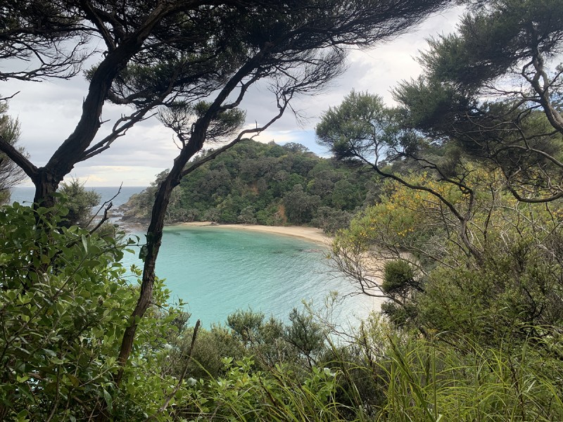 Whale Bay Loop Track | Issue Summer 2023 
